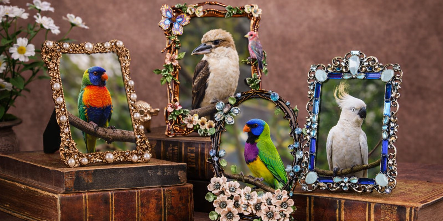 Ornate enamel metal photo frame collection displaying native Australian birds in decorative vintage frames
