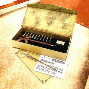 Wooden dip pen holder with stainless steel nibs laid out